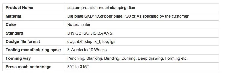 Metal Stamping Die